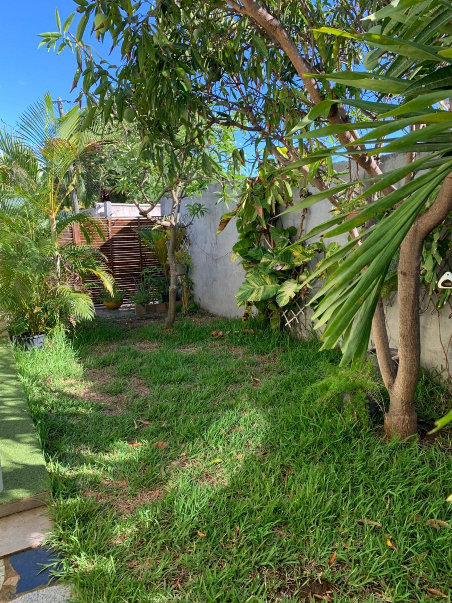 Bungalow Les Coraux La Saline Les Bains Eksteriør billede